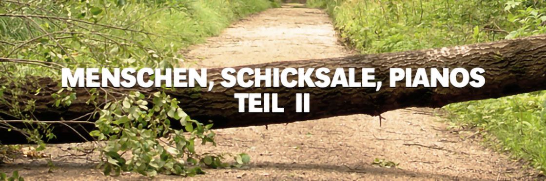Menschen, Schicksale, Pianos. Teil 2